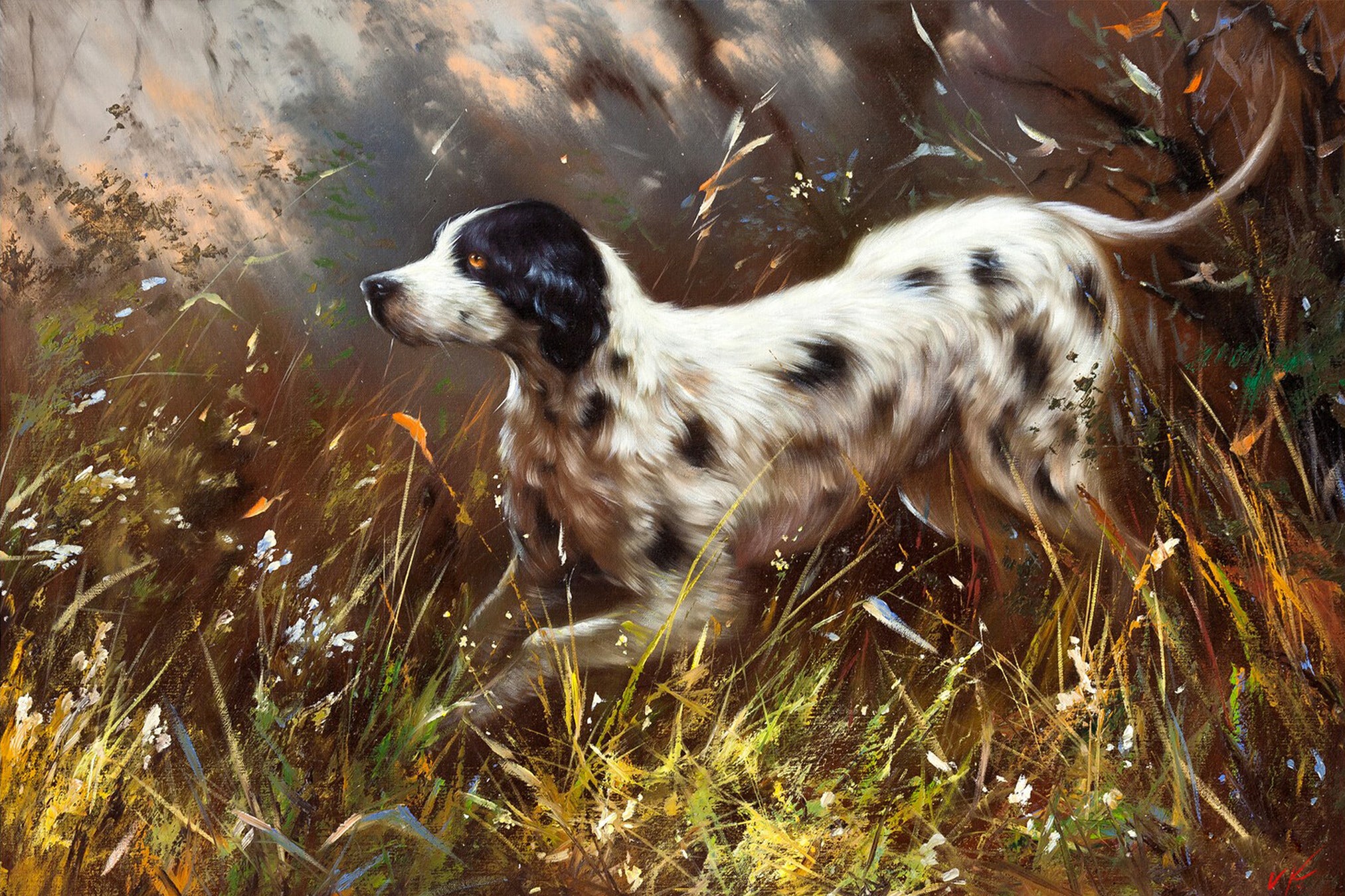 Curious Fido