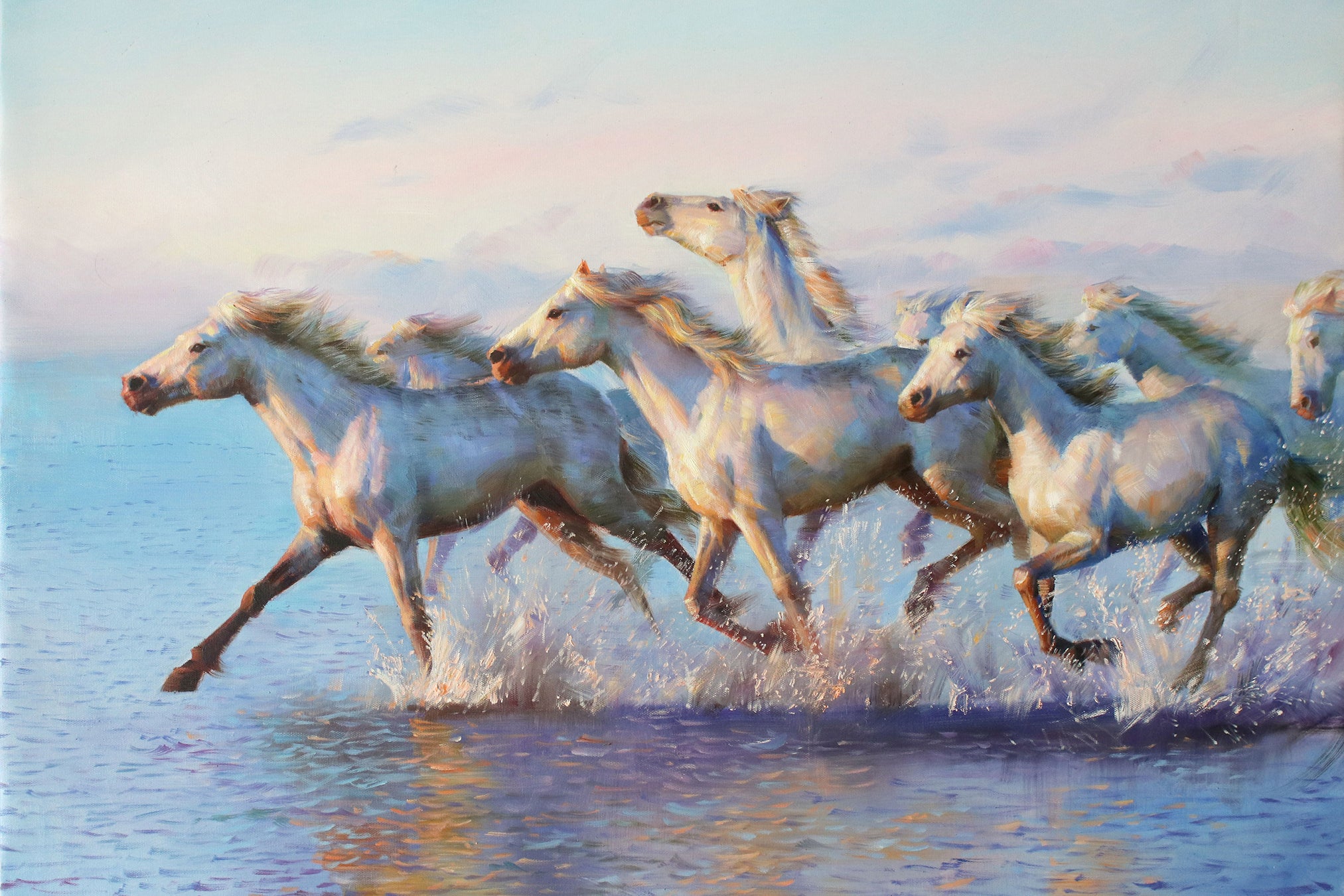 Mustangs & Mares