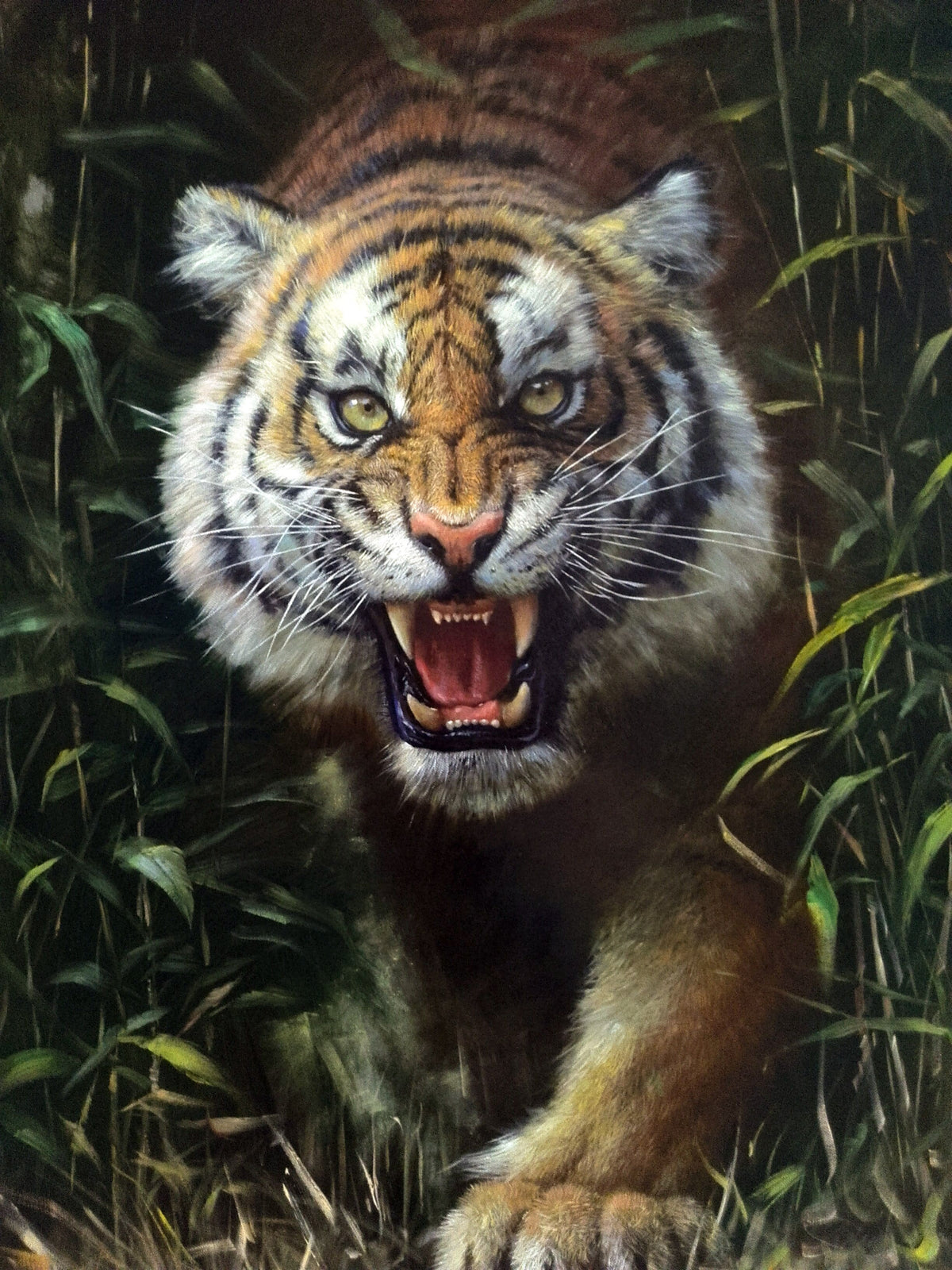 Roaring Tiger – Artsiful