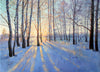 Winter Forest Daybreak